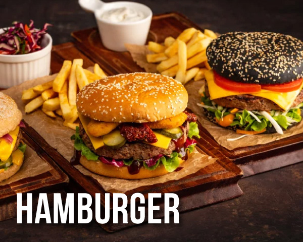 megamenu04-hamburger