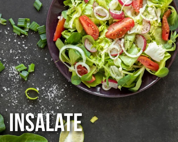 megamenu05-insalate